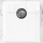 Sticker Rond Belle cygne blanc (Sac)