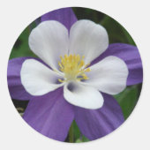 Sticker Rond Belle Fleur de Colombine Violette Blanche (Devant)