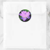Sticker Rond Belle fleur de lotus violet dans l'eau (Sac)
