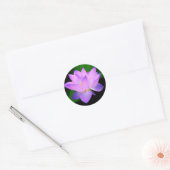 Sticker Rond Belle fleur de lotus violet dans l'eau (Enveloppe)