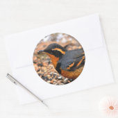 Sticker Rond Belle Grive variée sur le terrain neigeux (Enveloppe)