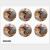 Sticker Rond Belle Grive variée sur le terrain neigeux (Feuille)