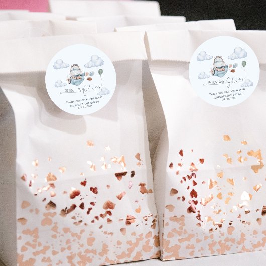 Sticker Rond Belle Hippo Vol Avion & Nuages, Premier Anniversai