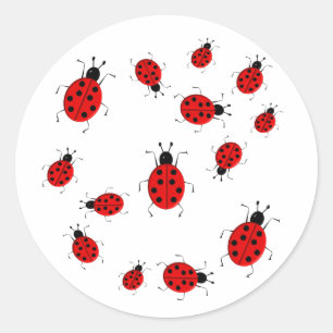 Sticker Rond Belle image clipart de coccinelle colorée