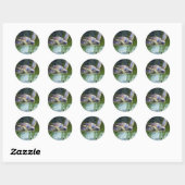 Sticker Rond Belle natation de tortue marine (Feuille)