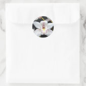 Sticker Rond Belle orchidée (Sac)