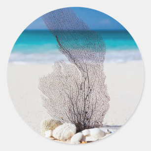 Sticker Rond Belle plage Eau Turquoise et Ciel Bleu