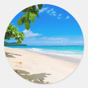 Sticker Rond Belle plage tropicale ensoleillée Photo