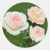 Sticker Rond Belle rose blanche (Devant)