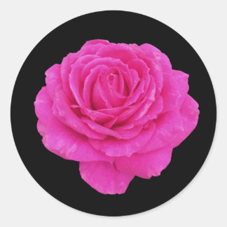Sticker Rond Belle rose rose