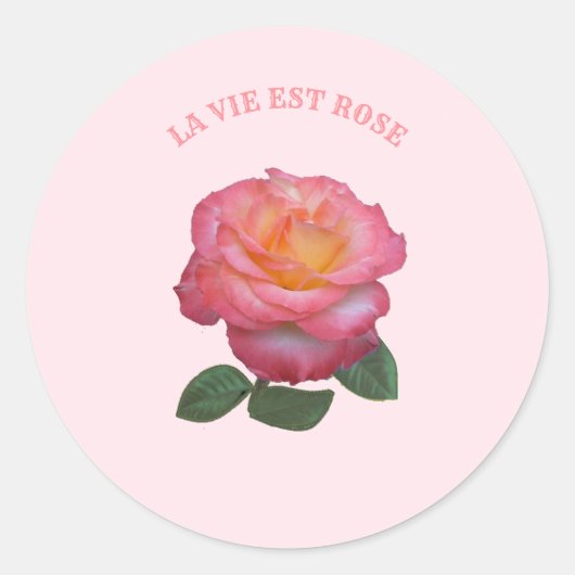 Sticker Rond Belle rose rose rose (Devant)