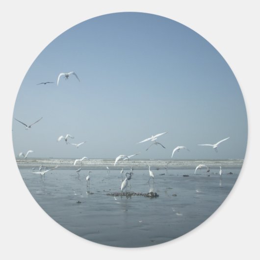 Sticker Rond Belles grues volant au-dessus de l'eau Ballet de l (Devant)