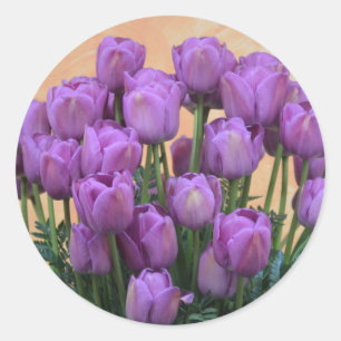 Sticker Rond Belles tulipes à ressort violet