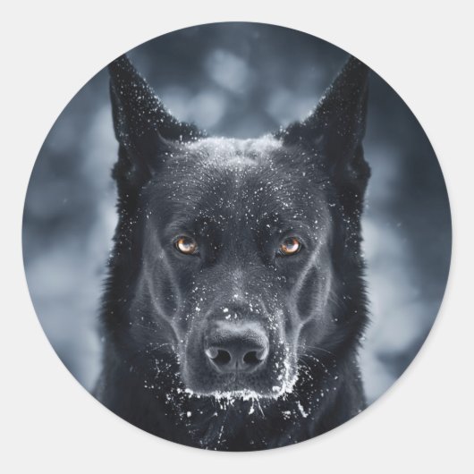 Sticker Rond Berger Allemand Noir (Devant)