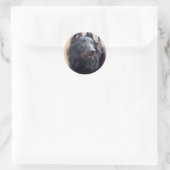 Sticker Rond Berger belge (Sac)