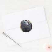 Sticker Rond Berger belge (Enveloppe)