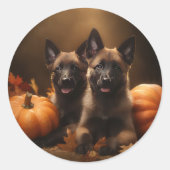 Sticker Rond Berger belge Chiot Automne Citrouille de plaisir (Devant)