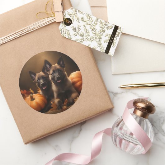 Sticker Rond Berger belge Chiot Automne Citrouille de plaisir (Cadeaux)