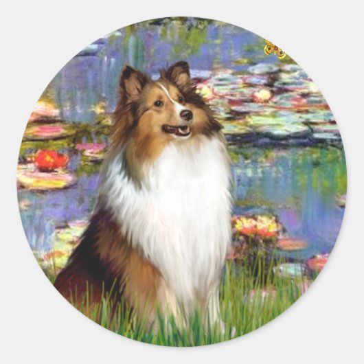Sticker Rond Berger des Shetland (Bz) - Lys 2 (Devant)