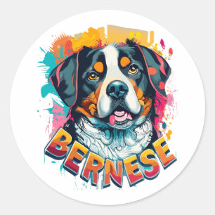 Sticker Rond Bernese Mountain Dog Head Vibré couleur éclaboussu