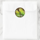 Sticker Rond Besties Green and Yellow Parakeets (Sac)