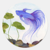 Sticker Rond Betta fish (Devant)