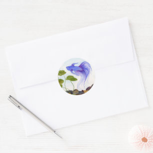 Sticker Rond Betta fish