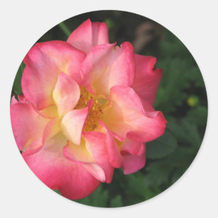 Sticker Rond Betty Boop - 24 mai 2009 139