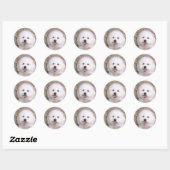 Sticker Rond Bichon Frise (Feuille)