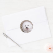 Sticker Rond Bichon Frise (Enveloppe)