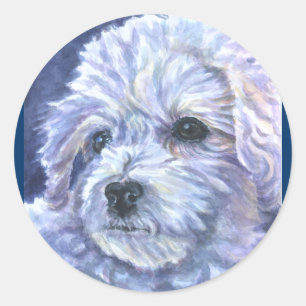 Sticker Rond Bichon Frise