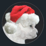 Sticker Rond Bichon Frise Christmas<br><div class="desc">Chiot Bichon Frise dans un autocollant photo de chapeau de Père Noël</div>