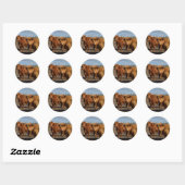 Sticker Rond Big Brown Highland Cows (Feuille)