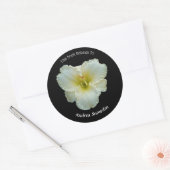 Sticker Rond 'Big Snowbird' Blanc jour sur plaque d'immatricula (Enveloppe)