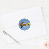 Sticker Rond Biplan Air Mail (Enveloppe)