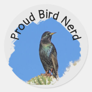 Sticker Rond Bird Nerd Joli Black Starling Cactus Birdwatcher
