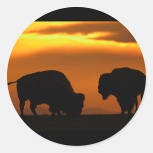 Sticker Rond bison