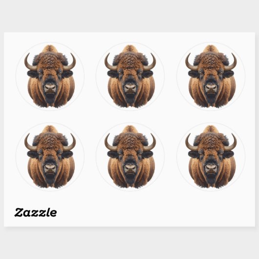 Sticker Rond Bison / Buffalo (Feuille)