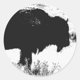 Sticker Rond Bison - Buffalo