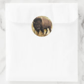 Sticker Rond Bison / Buffle (Sac)