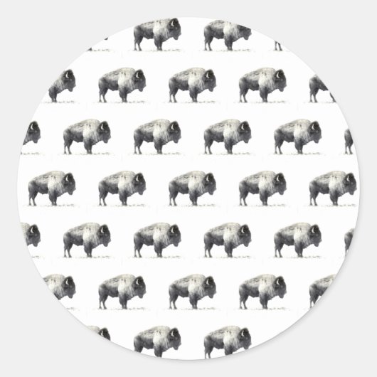 Sticker Rond Bison d'Amérique (Devant)