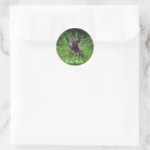 Sticker Rond Black Bear Cuisine Dandelions Photo (Sac)