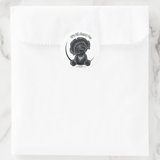 Sticker Rond Black Labradodle IAAM (Sac)