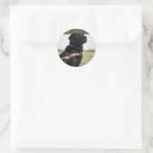 Sticker Rond Black Labrador Guide Dog Graduation Envelope Seal (Sac)
