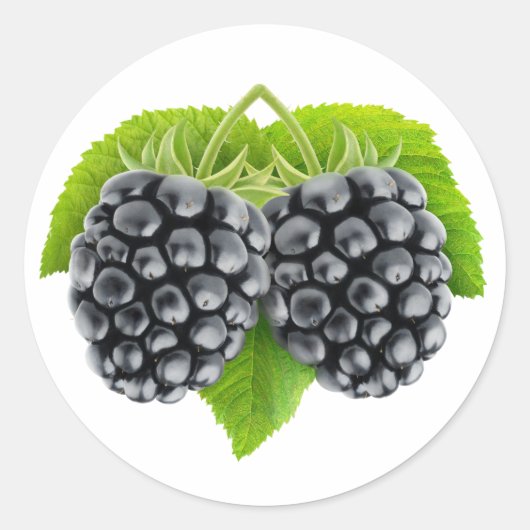 Sticker Rond Blackberries sur feuille (Devant)