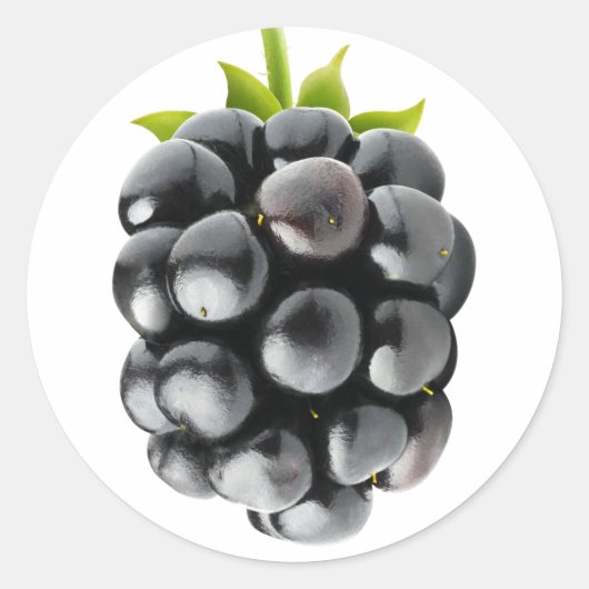 Sticker Rond Blackberry (Devant)