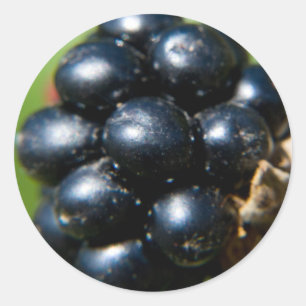 Sticker Rond Blackberry