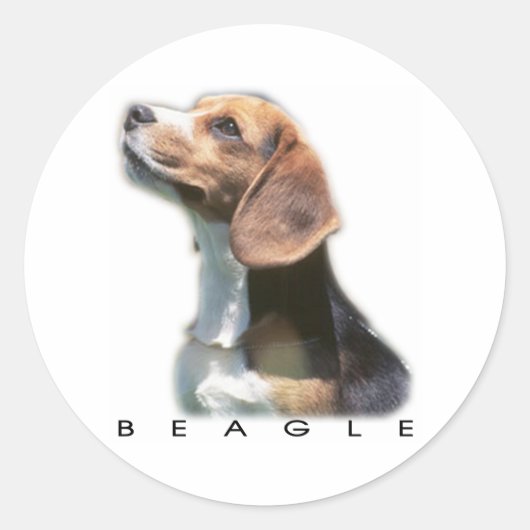 Sticker Rond Bleagle (Devant)