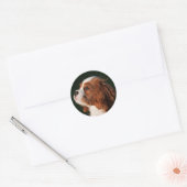 Sticker Rond Blenheim Cavalier King Charles Spaniel Chien Chien (Enveloppe)