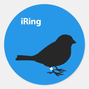 Sticker Rond Bleu anneau